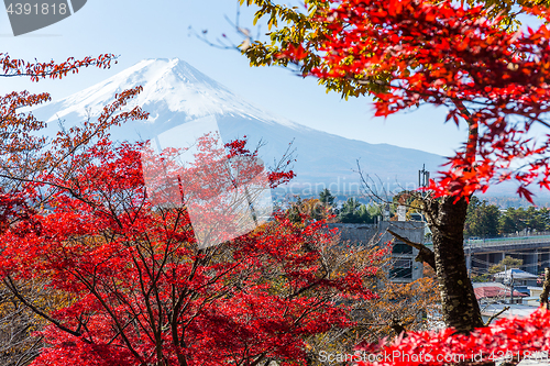 Image of Mount Fuji