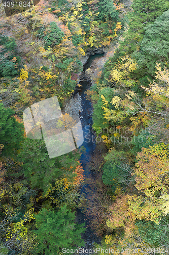 Image of Beautiful Natural landscape