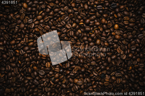 Image of Coffee beans texture