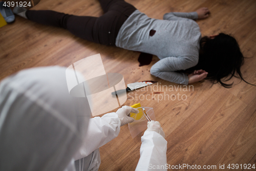 Image of criminalist collecting crime scene evidence