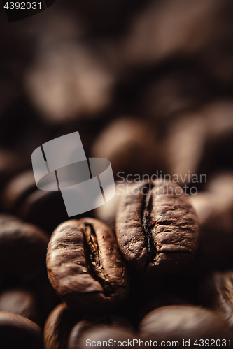 Image of Closeup of coffee beans