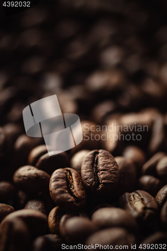 Image of Closeup of coffee beans