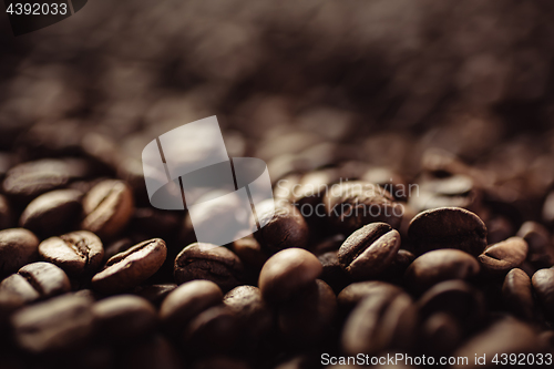 Image of Closeup of coffee beans