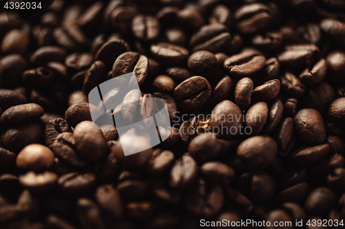 Image of Closeup of coffee beans