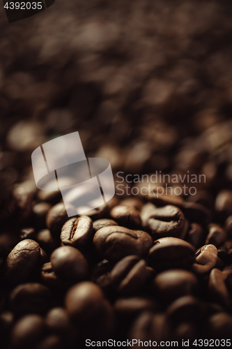 Image of Closeup of coffee beans