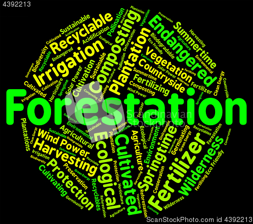 Image of Forestation Word Shows Woodlands Woods And Trees