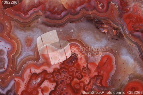 Image of brown agate texture 