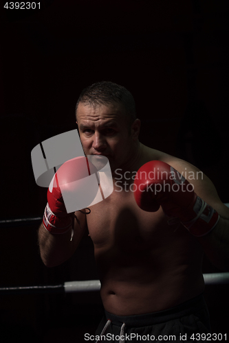 Image of professional kickboxer in the training ring