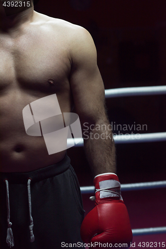 Image of kick boxer with a focus on his glove