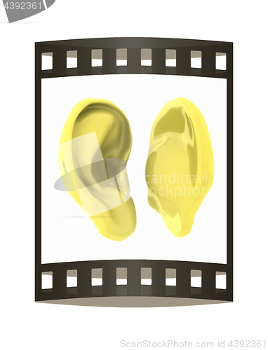 Image of Ear model. 3d illustration. The film strip.