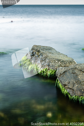 Image of Long exposure of sea and rocks