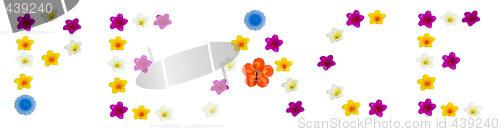 Image of Peace