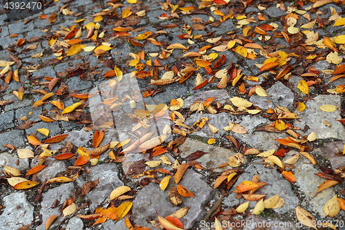 Image of Road paved with stones and bright autumn leaves