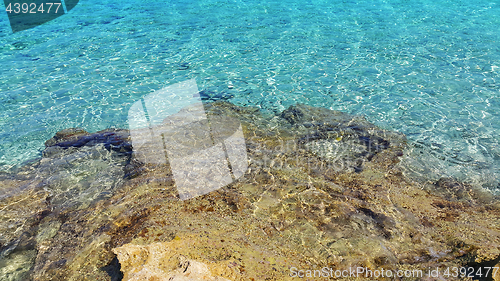 Image of Bright turquoise sea water and coastal rocks