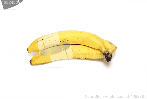 Image of Ripe yellow bananas on white background