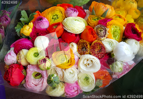 Image of Bouquet of ranunculus colorful flowers