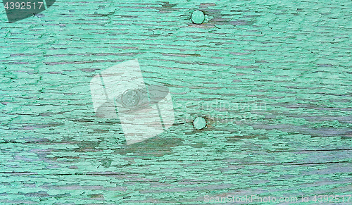 Image of Green painted weathered wooden texture