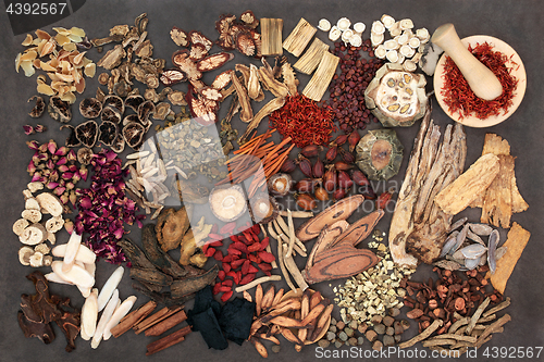 Image of Traditional Chinese Herbs