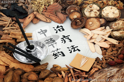 Image of Chinese Herbal Therapy