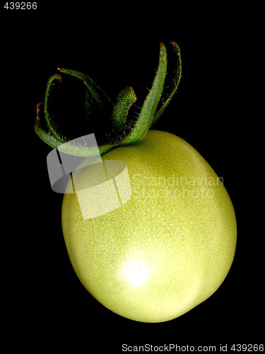 Image of tomato