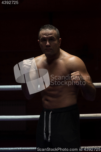 Image of professional kickboxer in the training ring