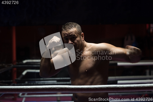 Image of professional kickboxer in the training ring