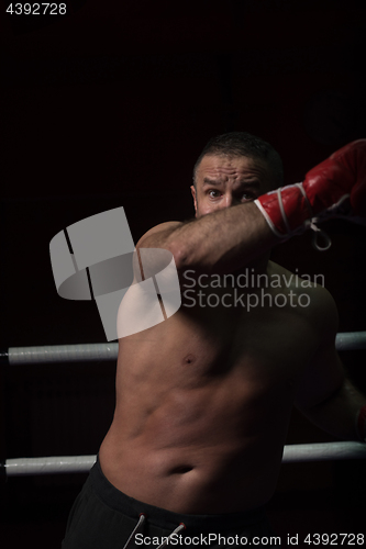 Image of professional kickboxer in the training ring