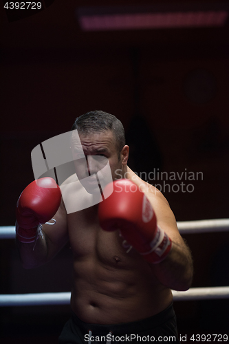 Image of professional kickboxer in the training ring