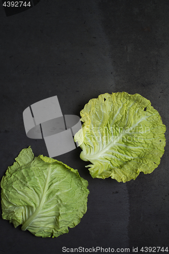 Image of Cabbage leaves background