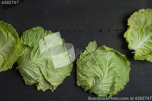 Image of Cabbage leaves background