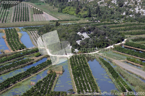 Image of Irrigation scheme on river Neretva, Croatia