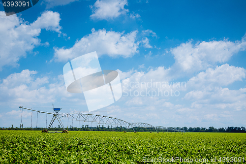 Image of beet field watering machine