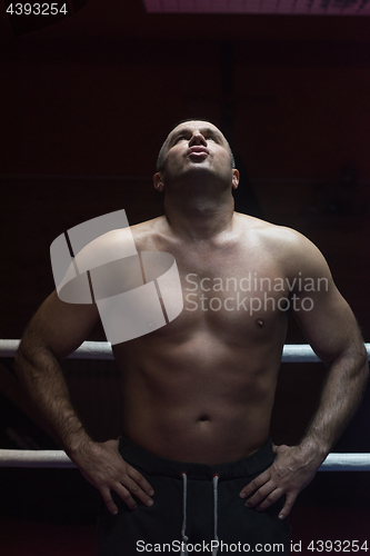 Image of portrait of muscular professional kickboxer