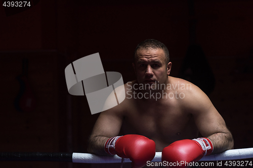 Image of portrait of muscular professional kickboxer