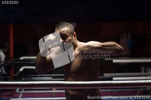 Image of professional kickboxer in the training ring