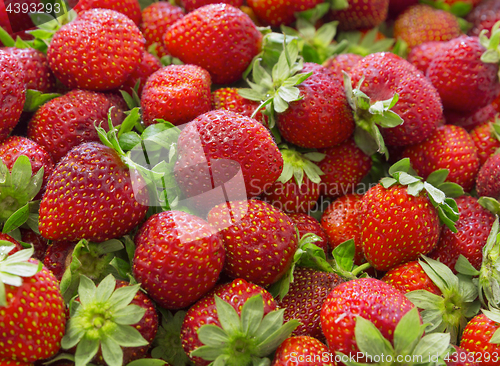 Image of Background of beautiful and juicy strawberries with green leaves