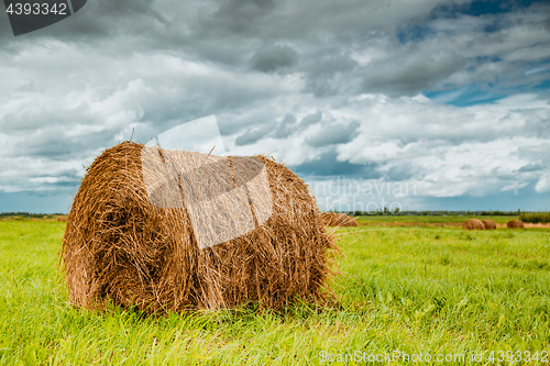 Image of Straw bales on farmland