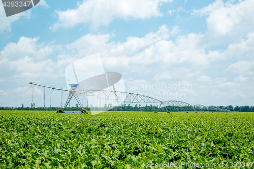 Image of beet field watering machine