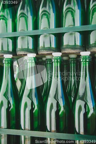 Image of Empty green bottle pattern 