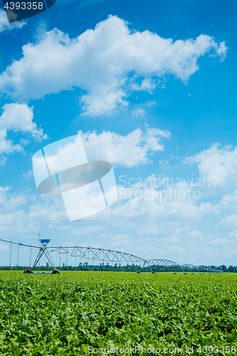 Image of beet field watering machine