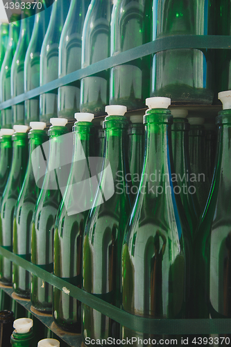 Image of Empty green bottle pattern 