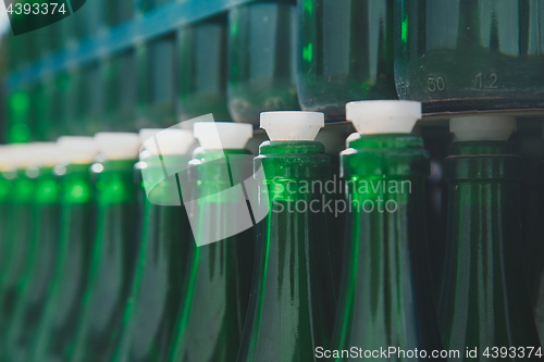 Image of Empty green bottle pattern 