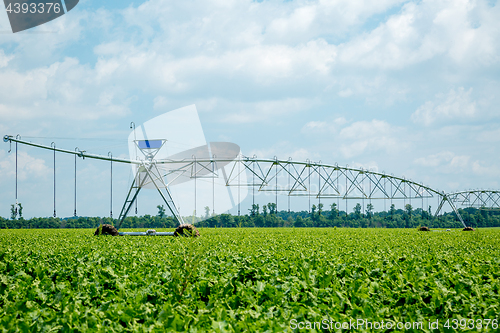 Image of beet field watering machine