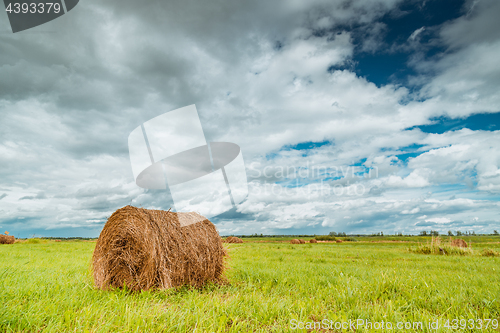 Image of Straw bales on farmland