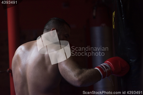 Image of kick boxer training on a punching bag