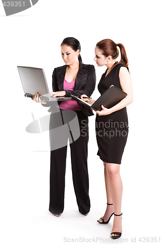 Image of Working businesswomen