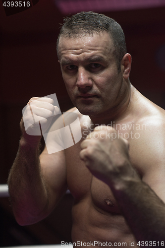 Image of professional kickboxer in the training ring