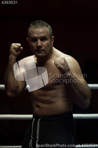 Image of professional kickboxer in the training ring