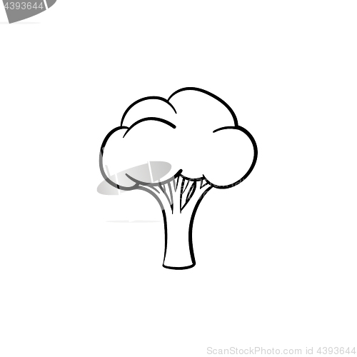 Image of Broccoli hand drawn sketch icon.