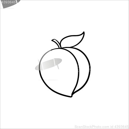 Image of Plum hand drawn sketch icon.